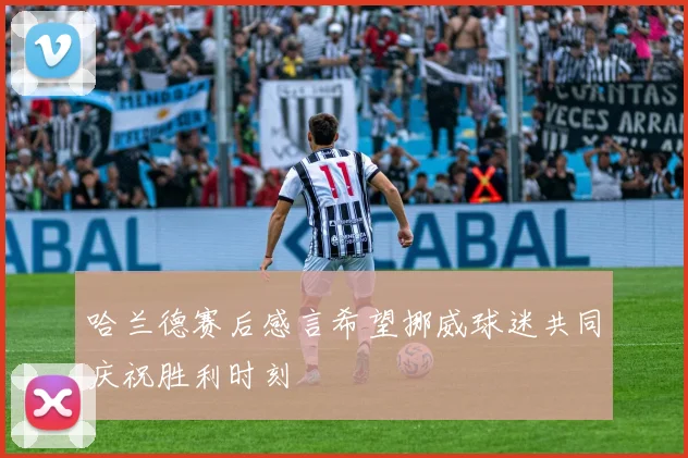 哈兰德赛后感言希望挪威球迷共同庆祝胜利时刻
